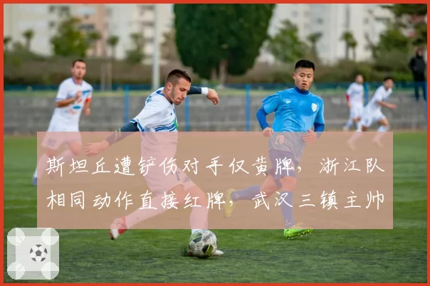 斯坦丘遭铲伤对手仅黄牌,浙江队相同动作直接红牌,武汉三镇主帅赛后拒绝握手?