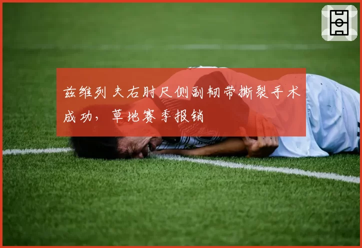 兹维列夫右肘尺侧副韧带撕裂手术成功，草地赛季报销